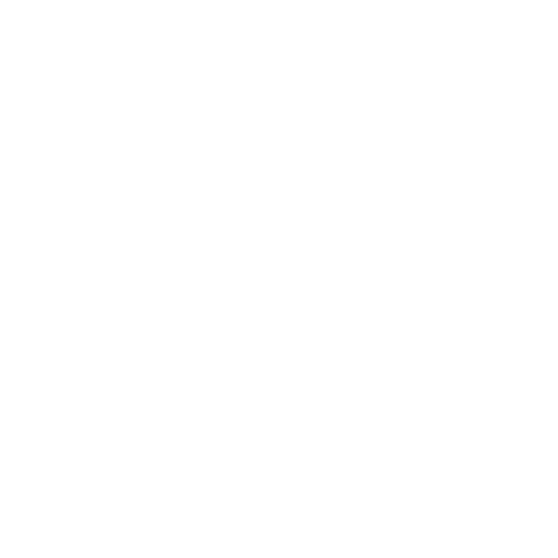 icon1